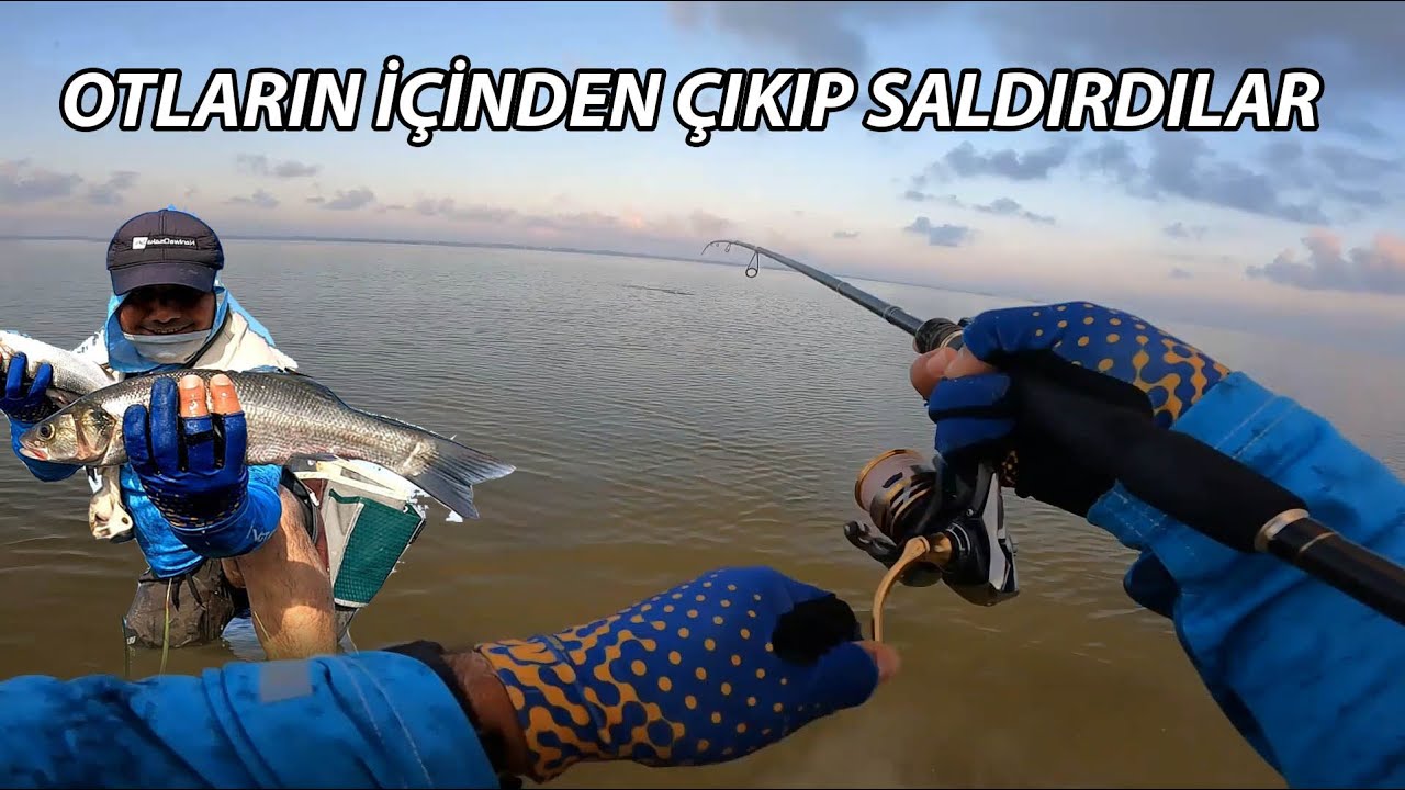 ÖLÜM NEDENİMİZ... SUÜSTÜ LEVREK AVI, SICAK, SİNEK, ÇAMUR, OT...