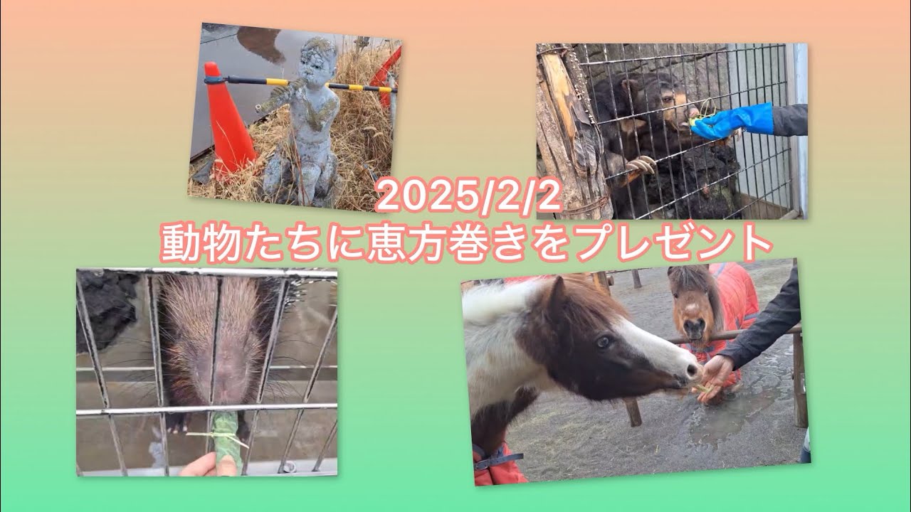 2025年2月2日