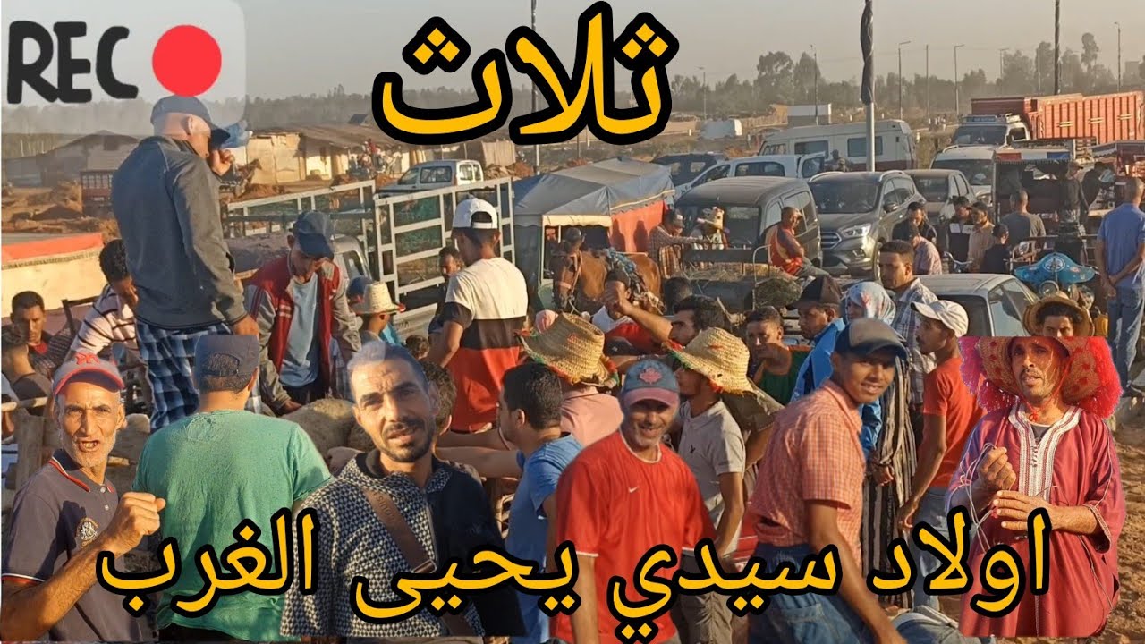 سيدي يحيى الغرب