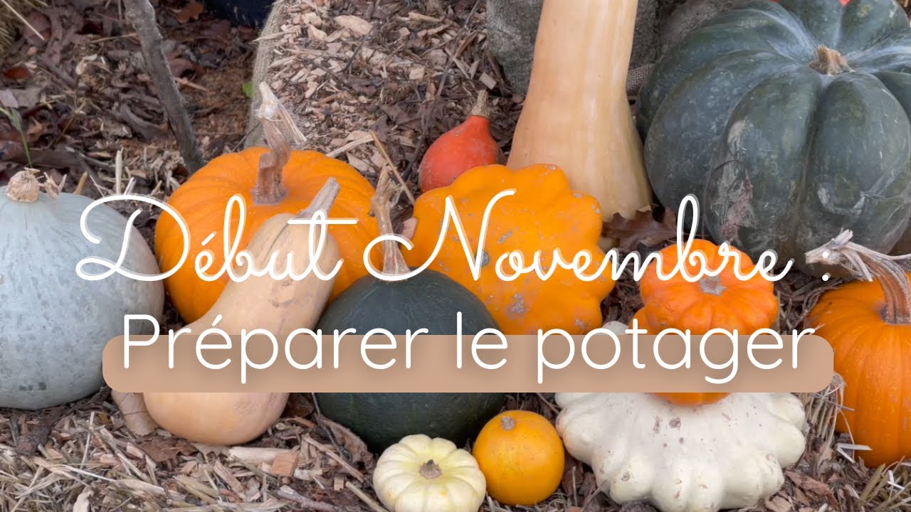 Début Novembre : Préparer son potager ! (LE POTAGER DE ROLAND)