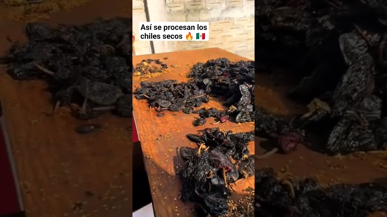 Mira como se procesan y empacan los chiles secos🌶 🔥🇲🇽