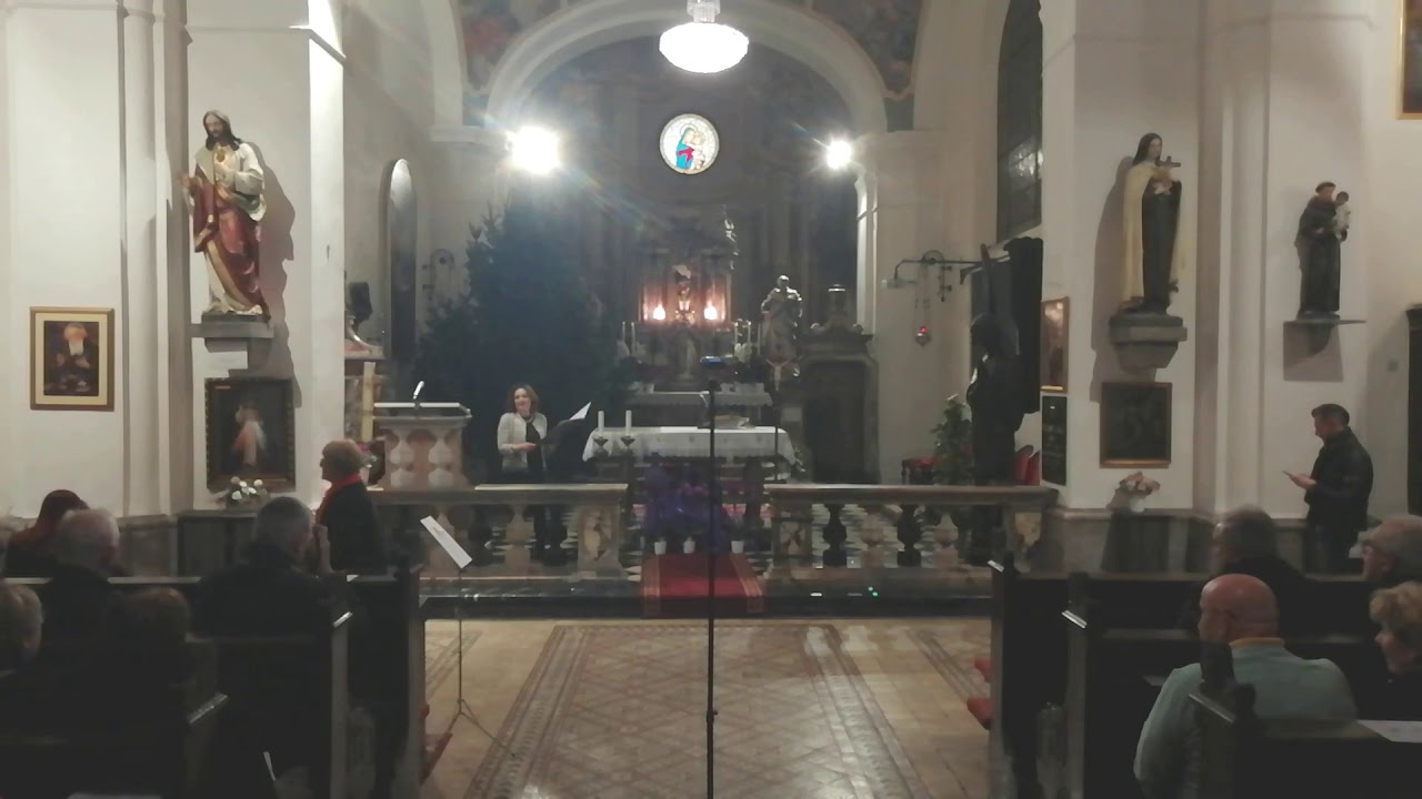 Jubilarni XXV. koncert Družbe 
