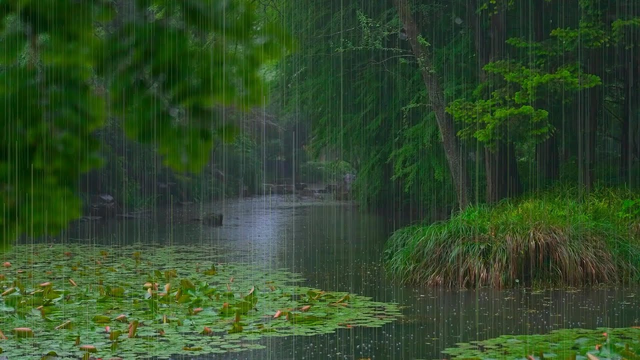 The beautiful little river is raining(268) , sleep, relax, meditate, ASMR, Real Shot
