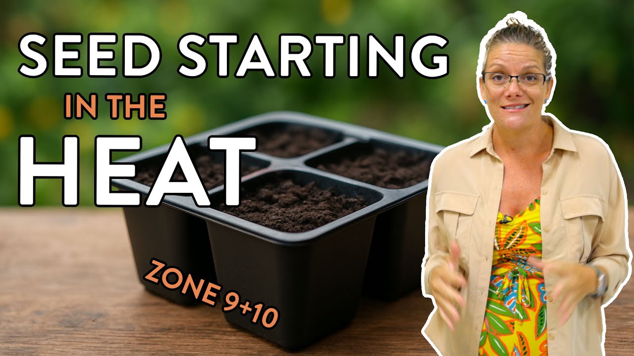 Fall Gardening in Zone 9 & 10: How to Start Cool-Season Seeds in the Heat