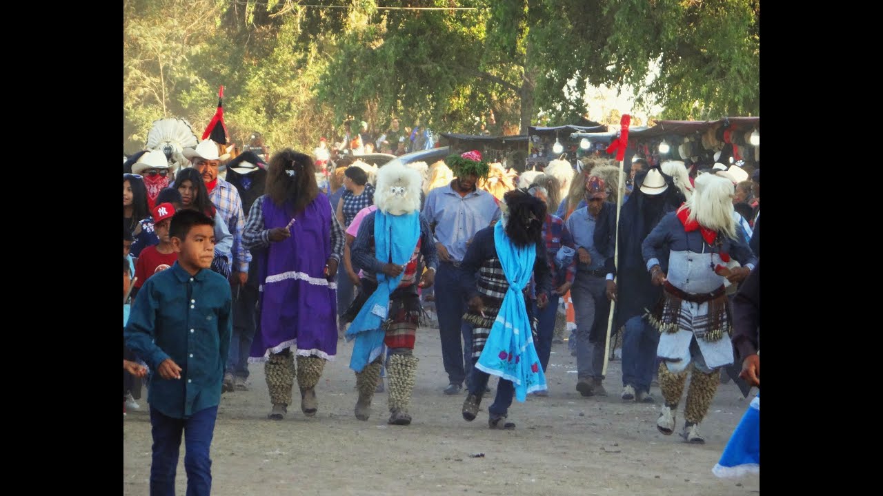 SACADA DEL VIEJITO