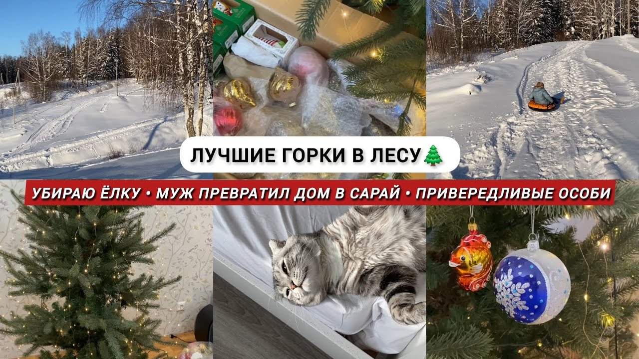 Влог / Убираю ёлку в феврале / Покатушки с горок / Муж-рыбак, куча удочек / Привередливые особи