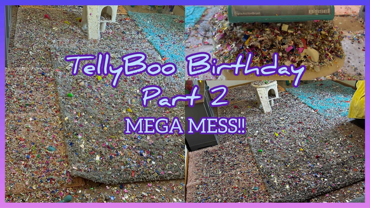 ULTRA Mega Downstairs Mess Test for Tellyboo