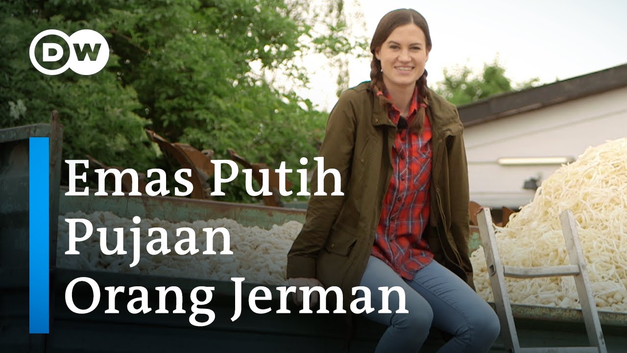 Kenapa Orang Jerman Tergila-gila akan Asparagus | #MeettheGermans