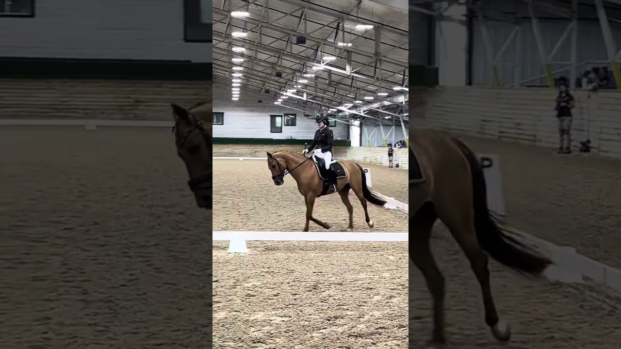 Jenna Brown & Flexi - National Pony Cup - 1st  Level MFS - 75.194%!
