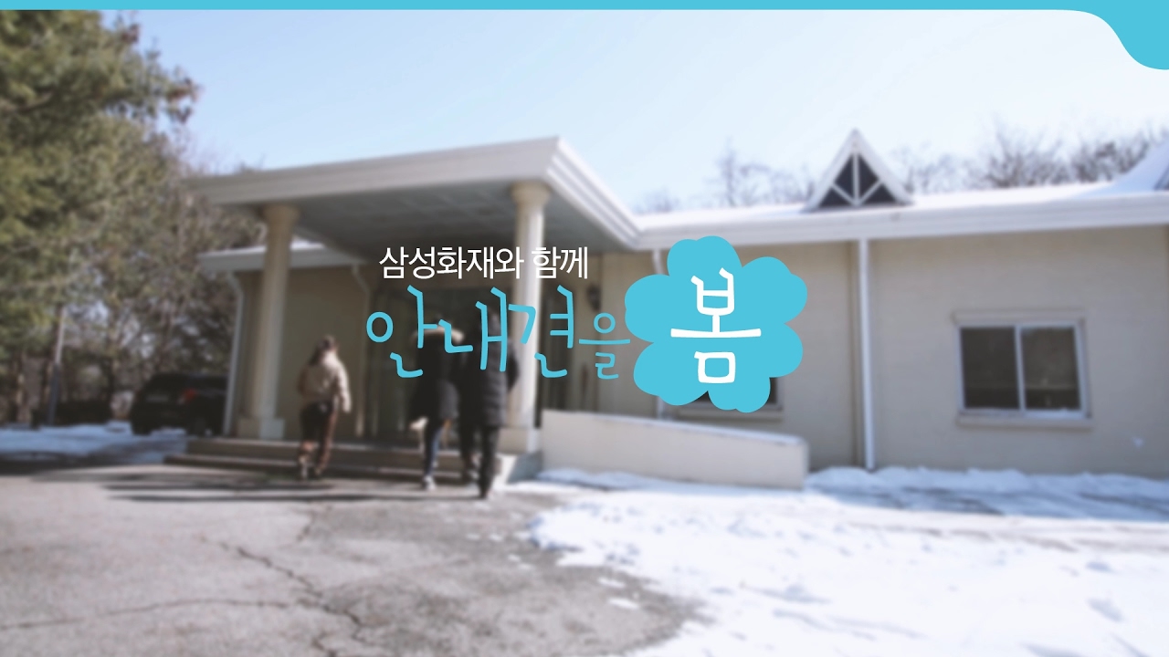 [삼성화재] 안내견을 봄 #1. 가을이의 외출