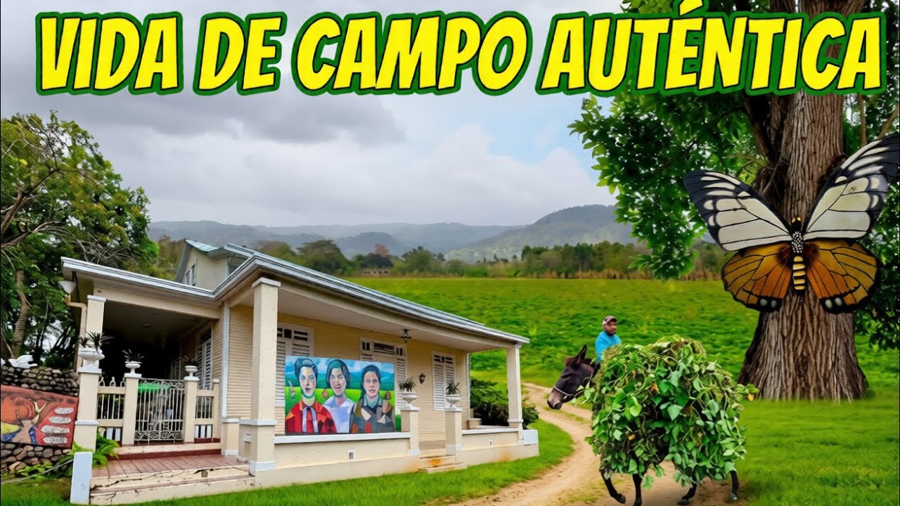 Recorrido por mi campo aquí vivieron las hermanas Mirabal 