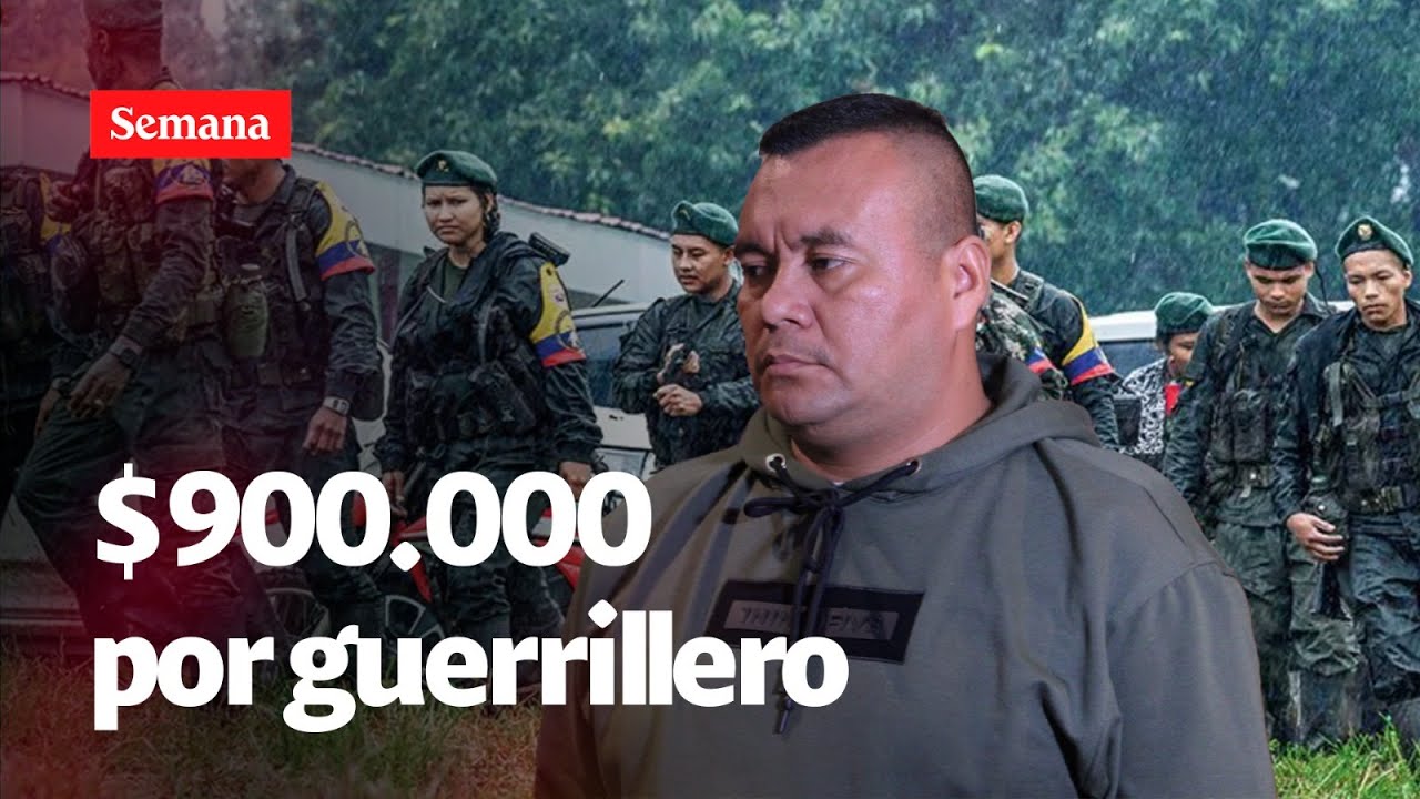 Así se financian las Farc