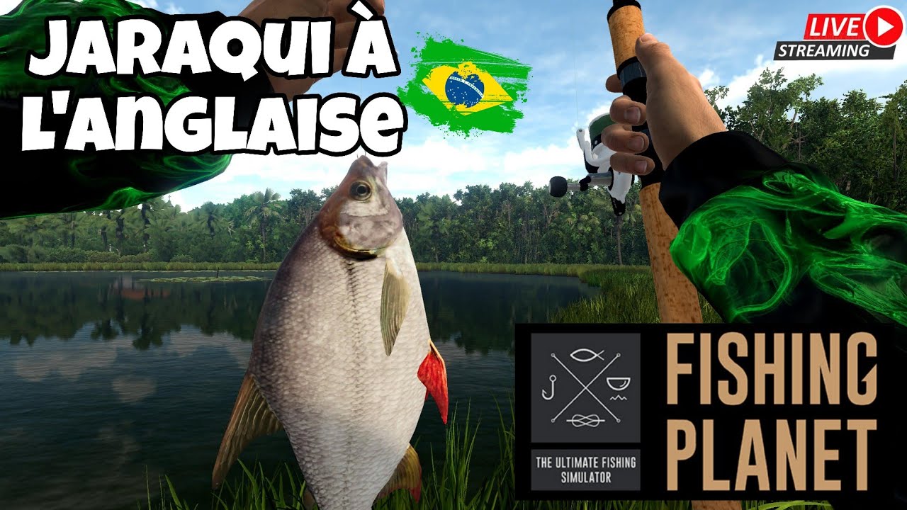 🔴 FISHING PLANÈTE 🇧🇷 Jaraqui à  L'Anglaise 🇧🇷 Dédale De L'Amazone