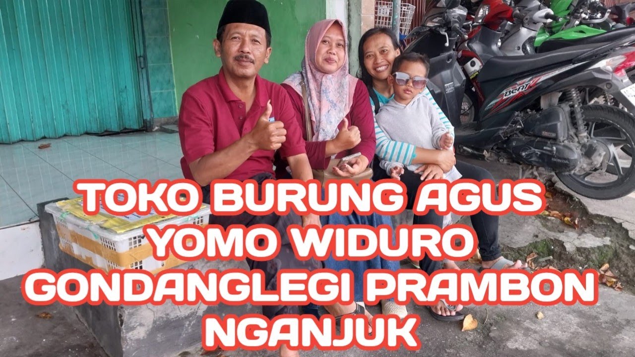 TOKO BURUNG AGUS YOMO WIDURO GONDANGLEGI PRAMBON NGANJUK