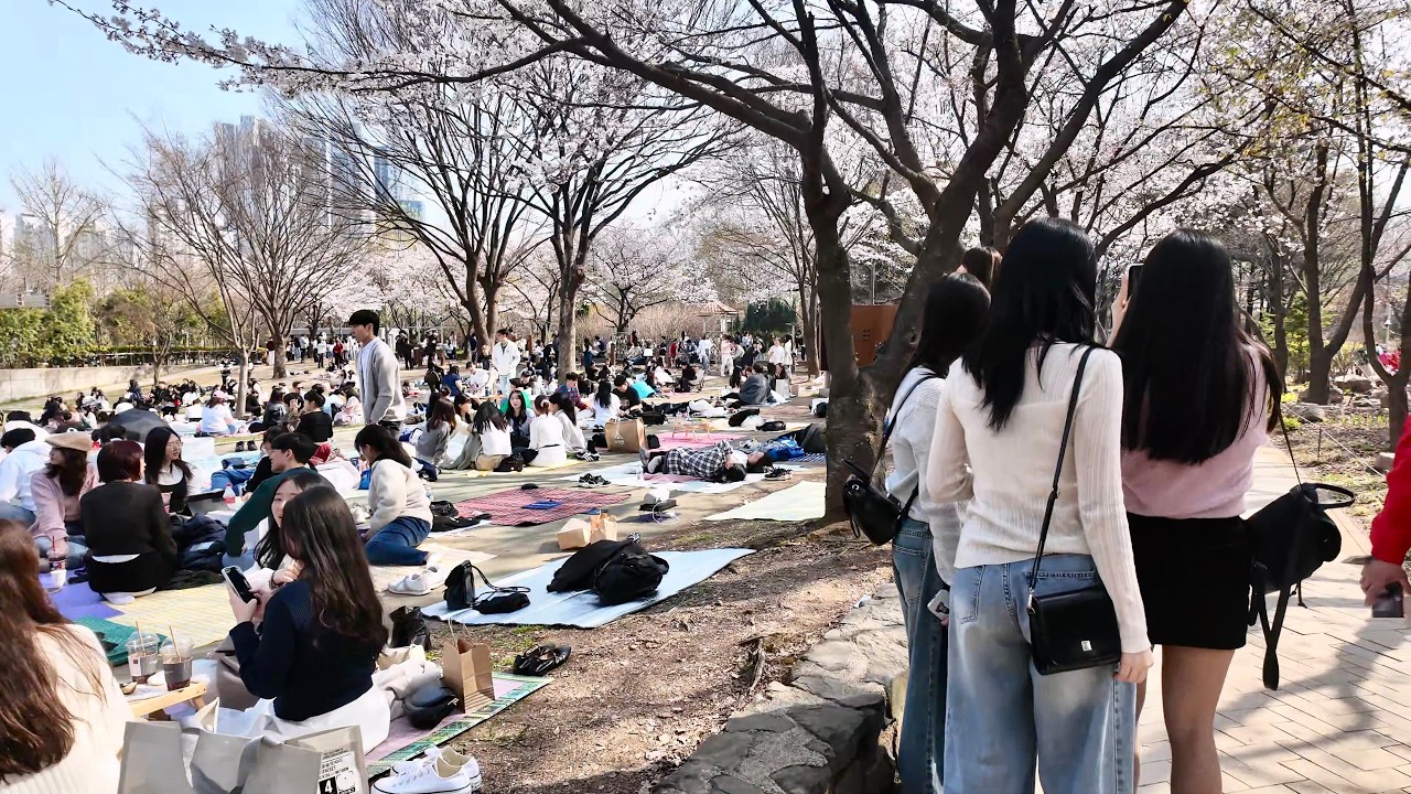Seoul Forest in Spring | Feel the Vibes of April in Seongsu (4K HDR)