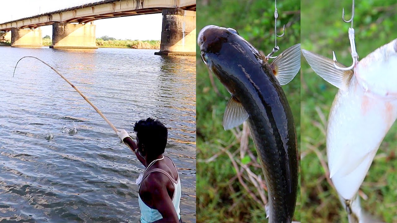 The Best Way to Catch Mullet Fish - Bread Bait Using