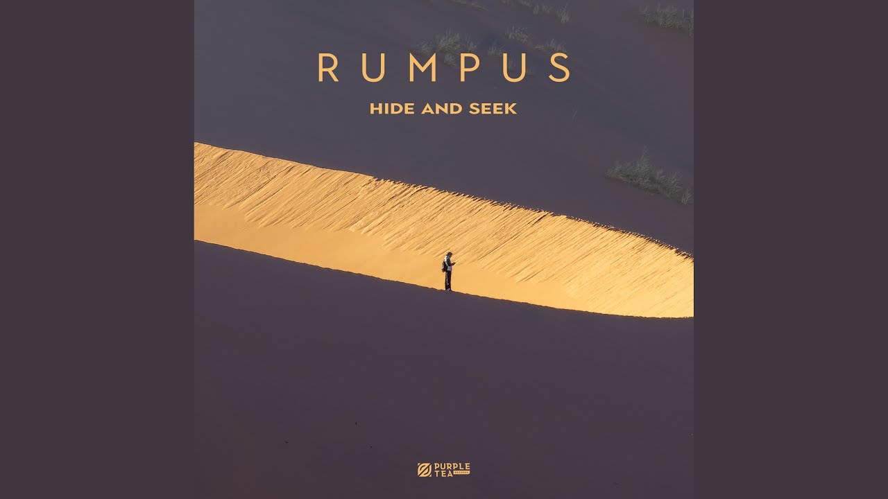 Hide and Seek (Extended)