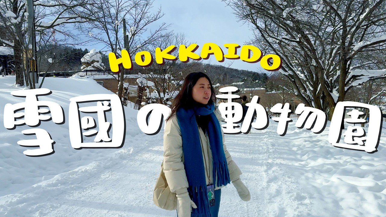 北海道自由行！札幌/旭川/富良野/美瑛一日玩完？🇯🇵？旭山動物園＆四季彩之丘＆美瑛網紅樹＆富良野精靈露台！道民都在吃的燒鳥店？車站內立飲酒吧？涮涮鍋吃到飽？札幌冬季聖誕市集？｜波妞食境秀
