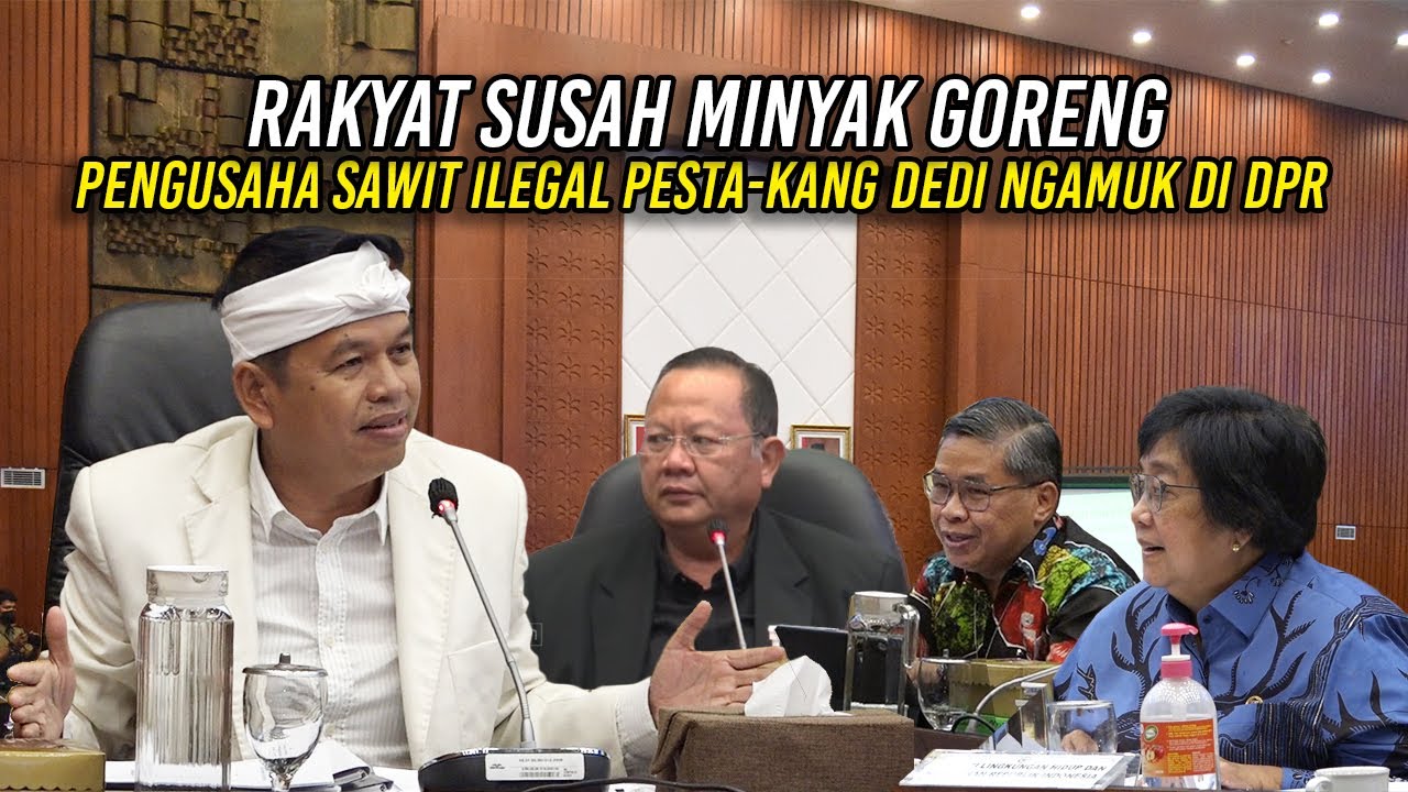 RAKYAT SUSAH DAPATIN MINYAK GORENG | PENGUSAHA KEBUN SAWIT ILEGAL BERPESTA | KANG DEDI NGAMUK