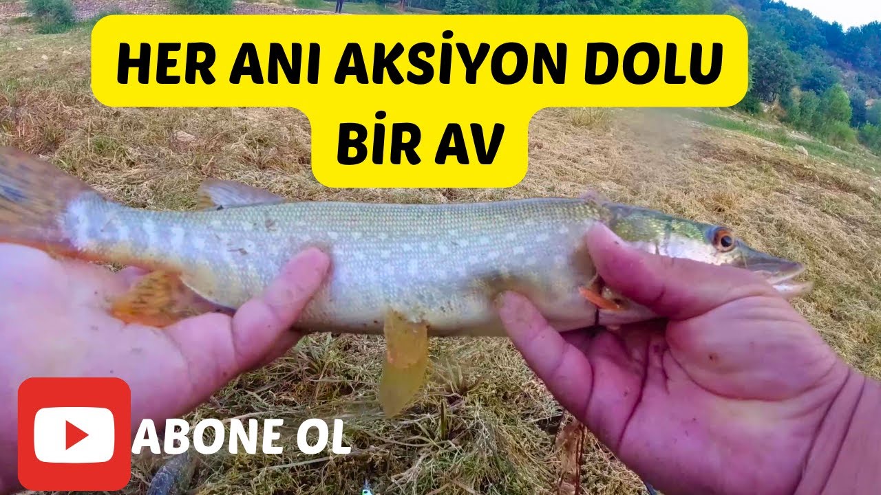 LRF İLE PERCH VE TURNA AVI!!! - DOĞRU SİLİKONU BULUNCA BALIKLAR AFFETMİYOR -
