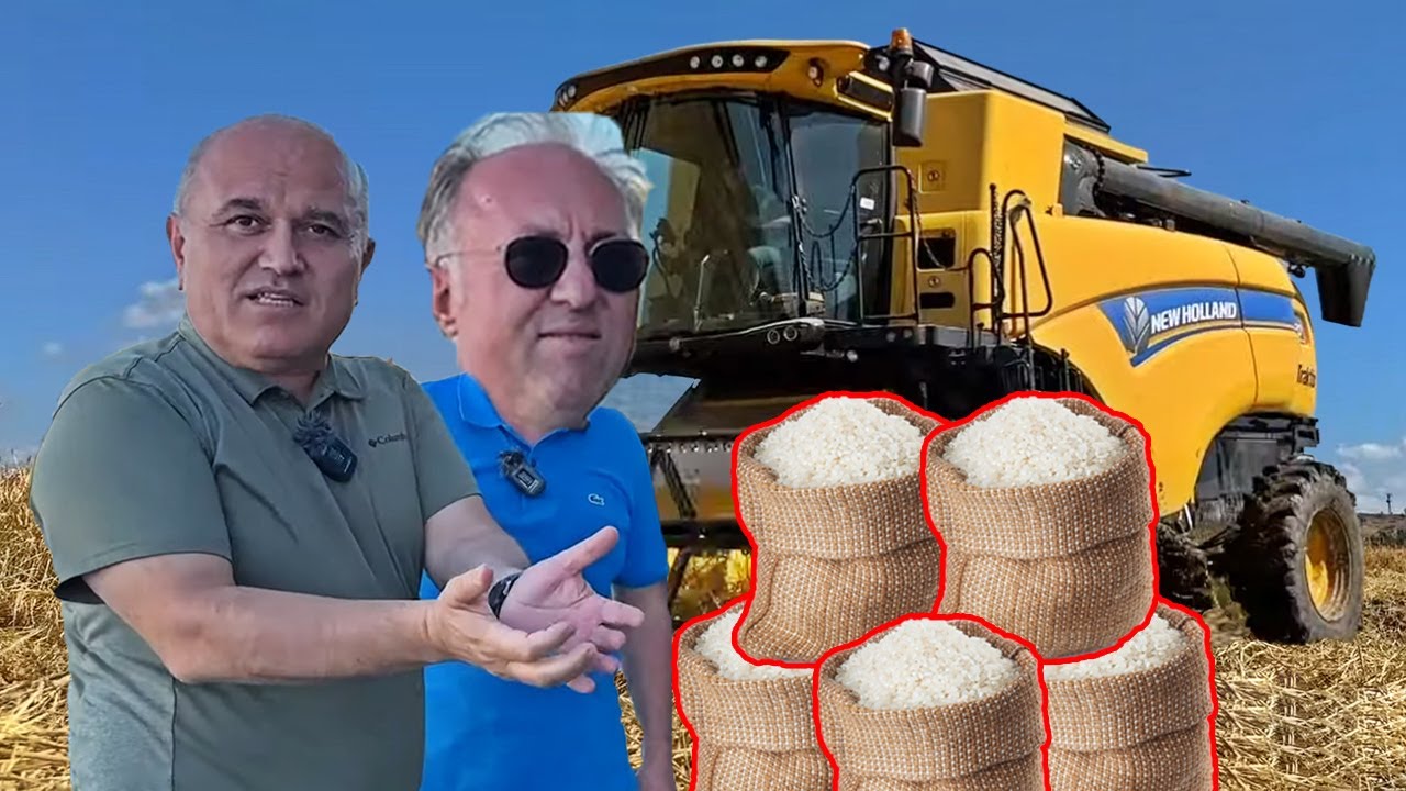 Nefis Pilavlık Pirincimizin Tarladan Sofraya Üretim Sürecini Anlattık !!