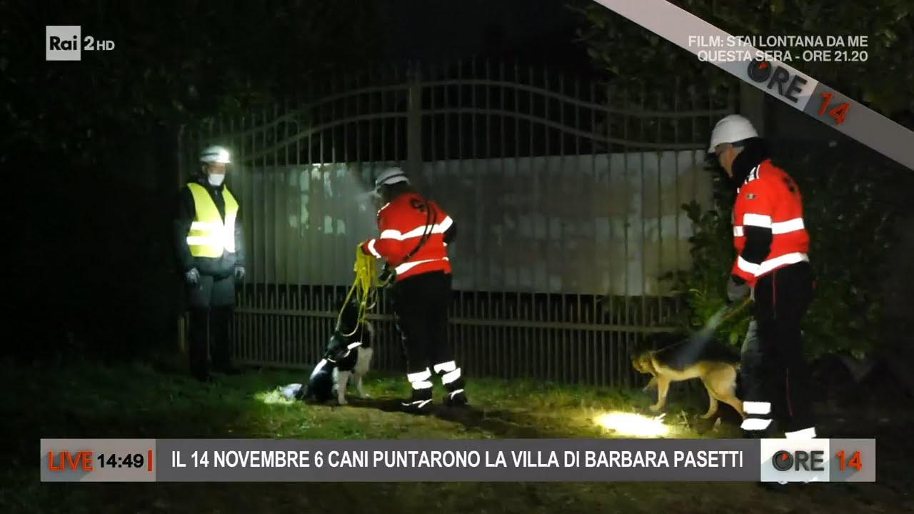 Gigi Bici: il 14 novembre i cani molecolari puntarono la villa della Pasetti - Ore 14 del 17/02/2022