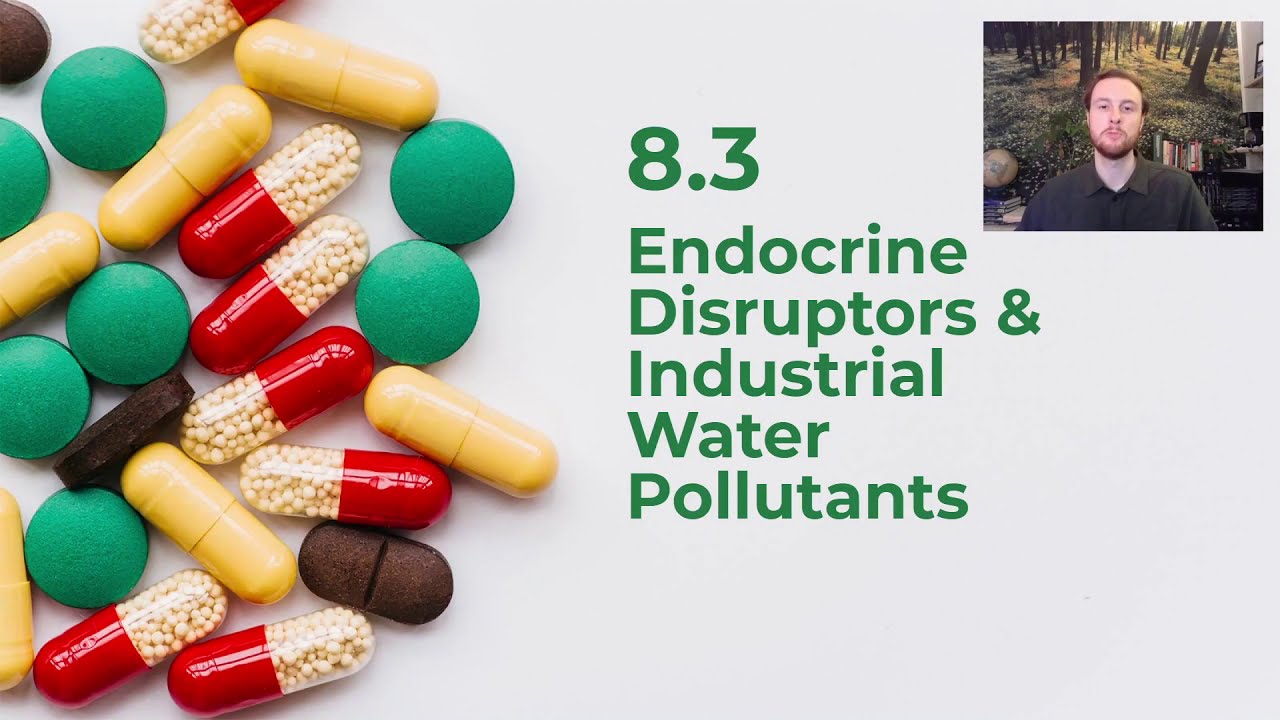 AP Environmental Science 8.3 - Endocrine Disruptors