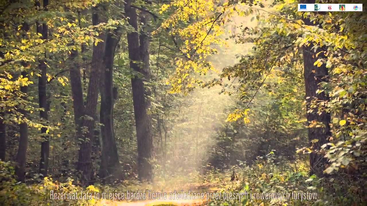 Rezerwat Jata-  nieznany ląd