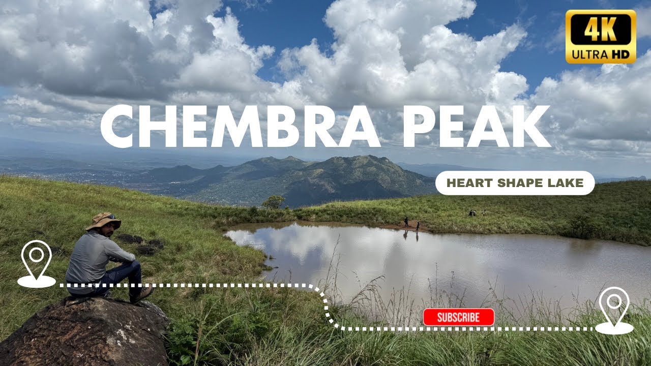 Wayanad Chembra Peak | How to go Wayanad Chembra Peak | Heart Lake #trekking #wayanad #chembra