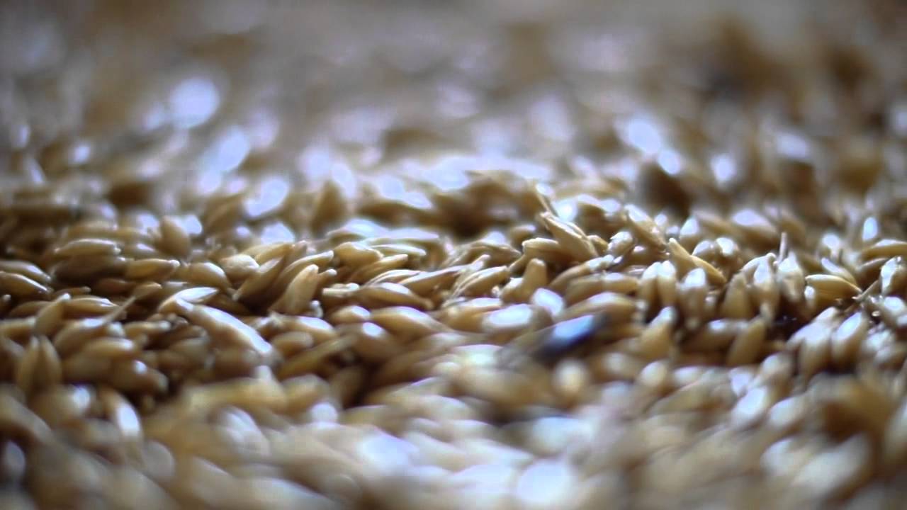 Dynamic Fodder System