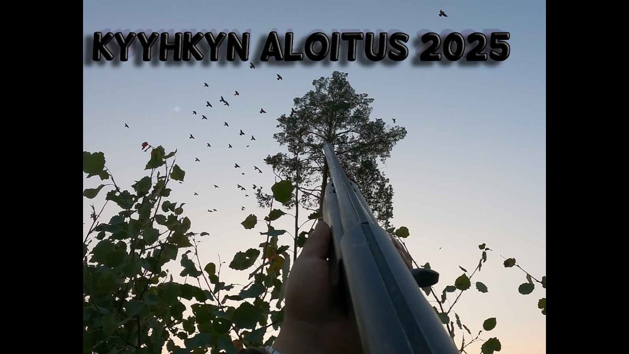 Kyyhkyn metsästys  2025