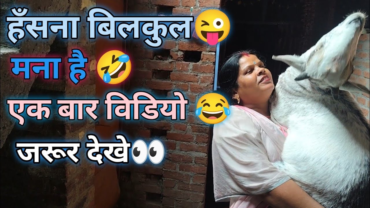 हँसना बिलकुल मना है एक बार विडियो जरूर देखे👀🤣🤣