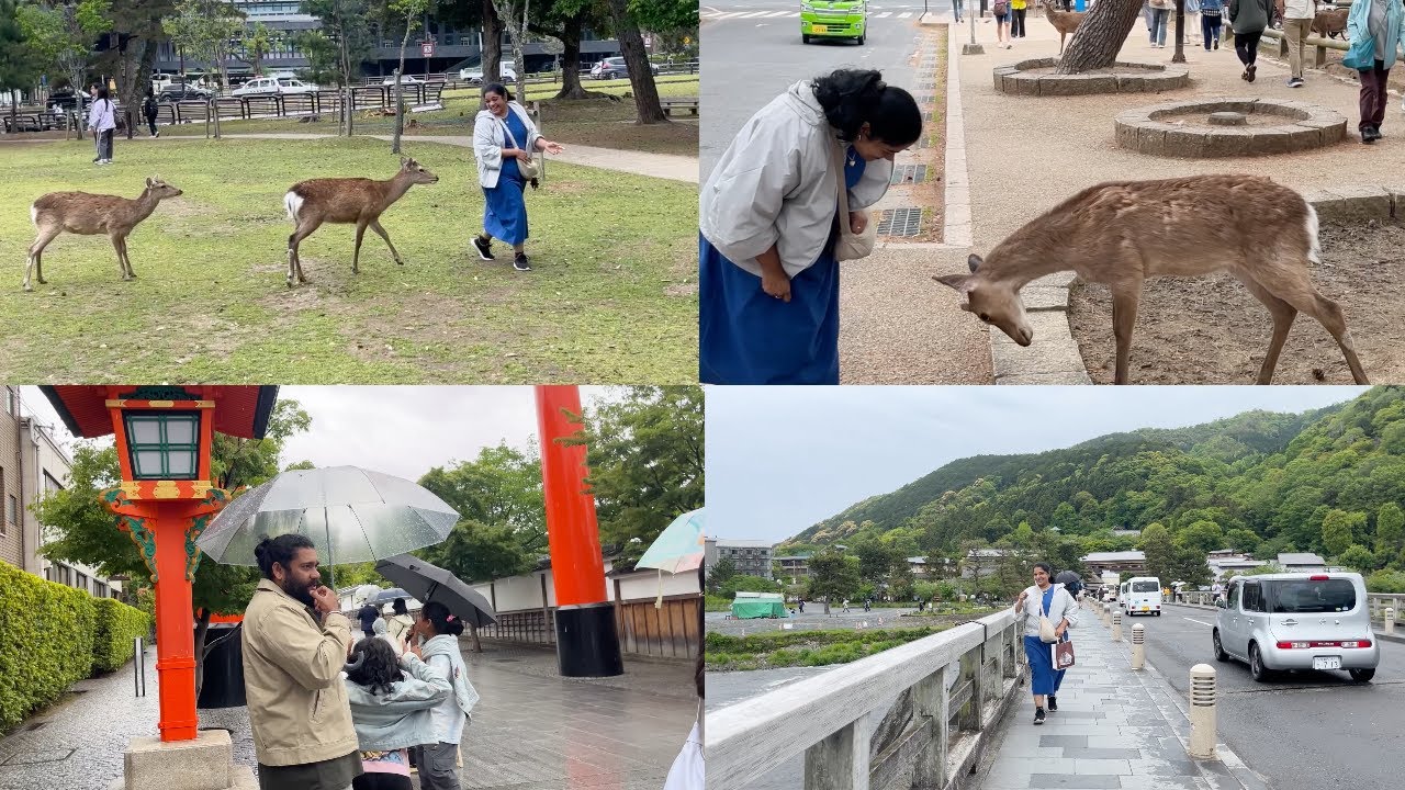 IN JAPAN EVEN DEER RESPECTS YOU - DAISO JAPAN SHOPPING HAUL - Arashiyama & Nara Deer Park