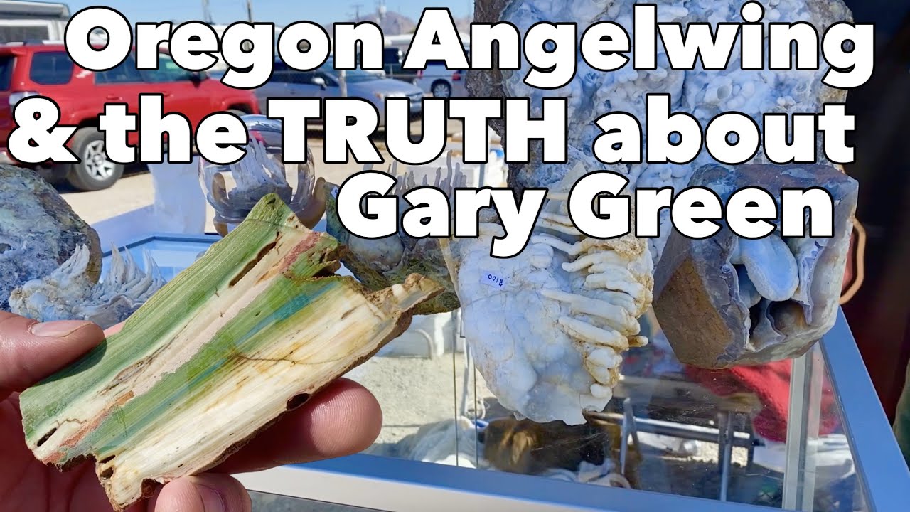 Oregon Angel Wing, Thunder Eggs, & the TRUTH about Gary Green Jasper