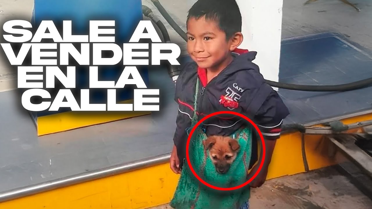 Ni&ntilde;o Vendedor Se Hace Viral Por La Forma En Que Lleva a Su Perrito