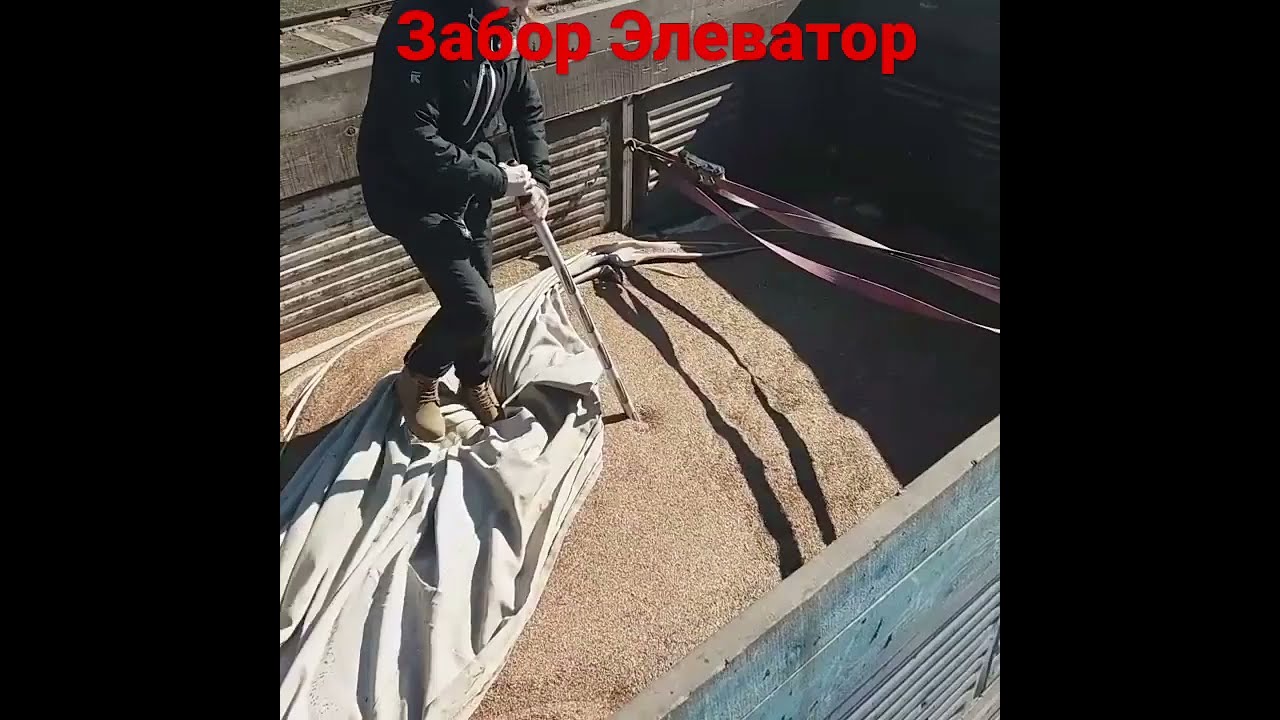 Элеватор накопление зерна под экспорт. Отправки с Чёрного и Каспийского моря. Экспорт 👍🇷🇺