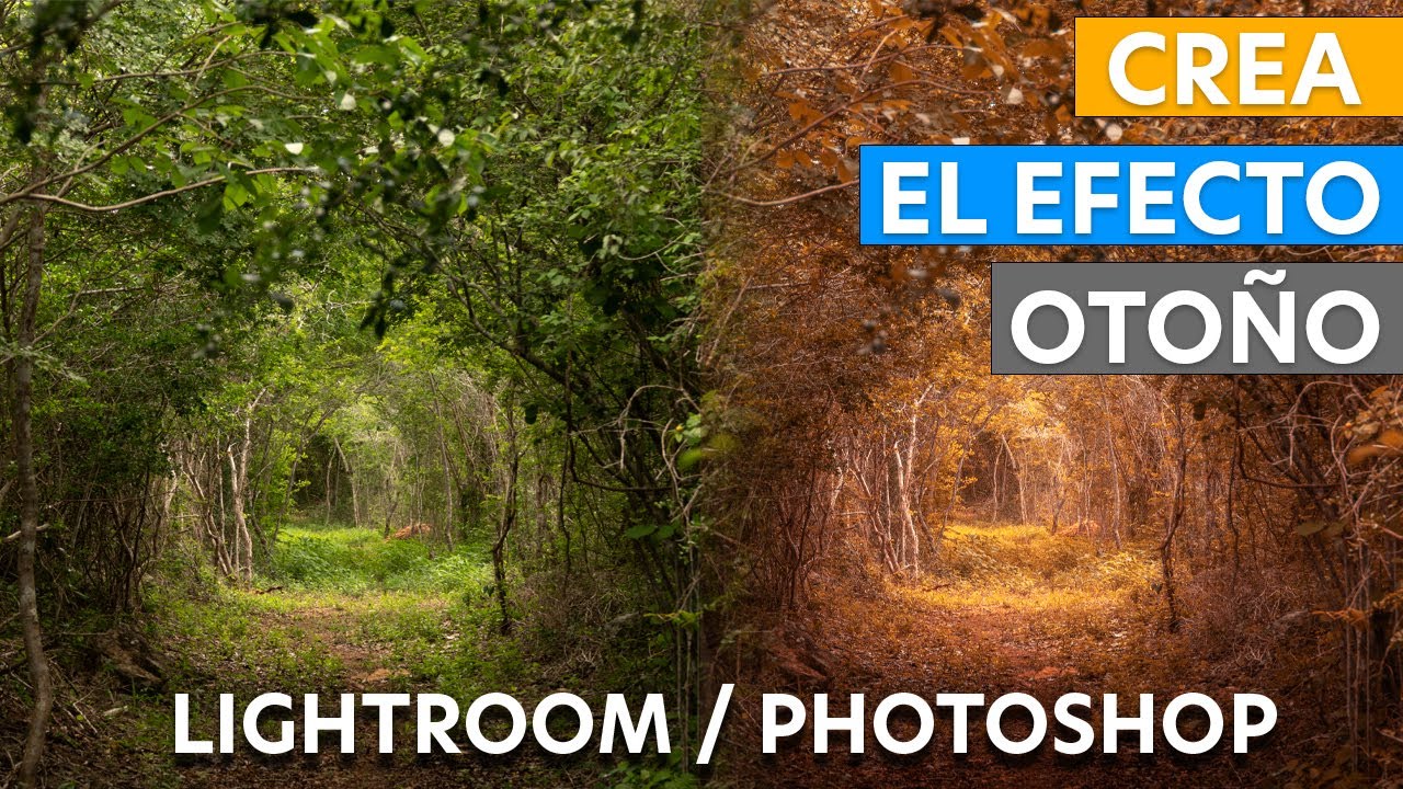 TRUCO PARA CREAR EL EFECTO OTOÑO EN TUS FOTOS