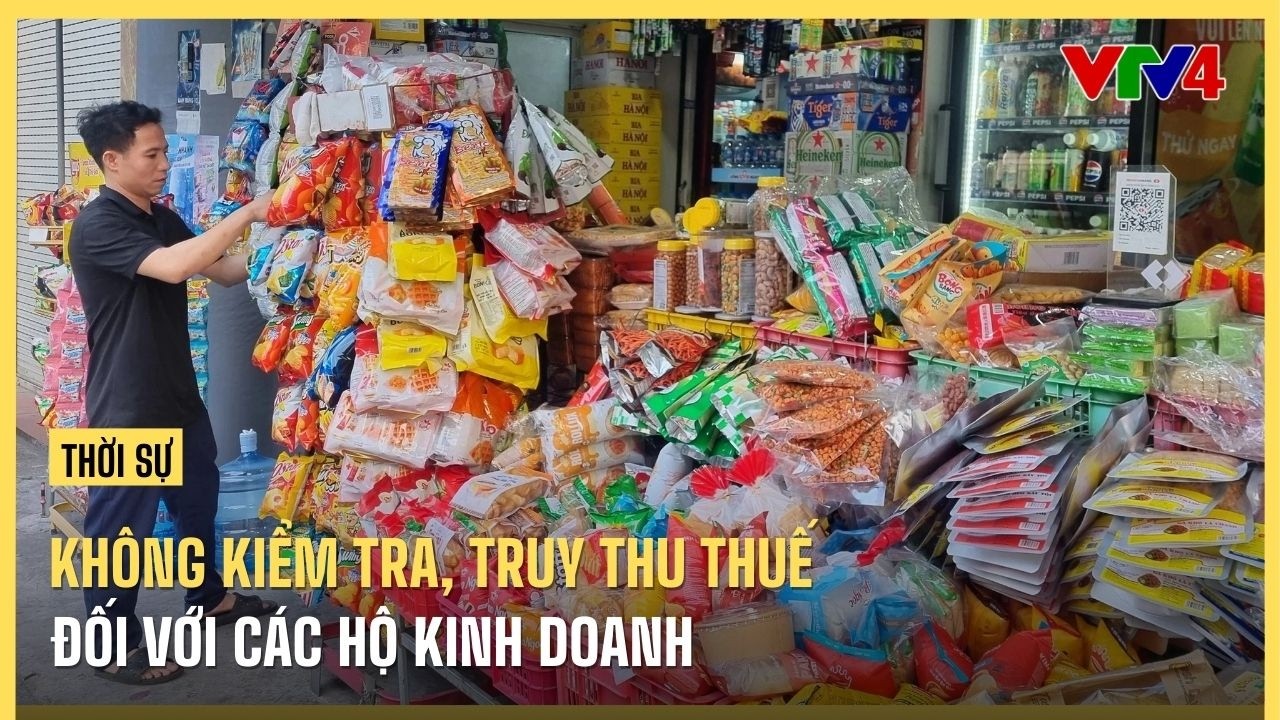 V&igrave; sao kh&ocirc;ng kiểm tra, truy thu thuế hộ kinh doanh?| VTV4