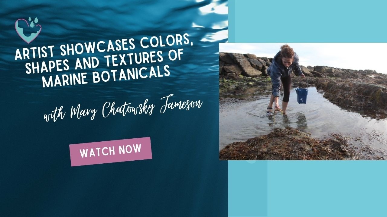 Mary C. Jameson, seaweed art (Saltwater Studio Newport): Women Mind the Water Artivist Series