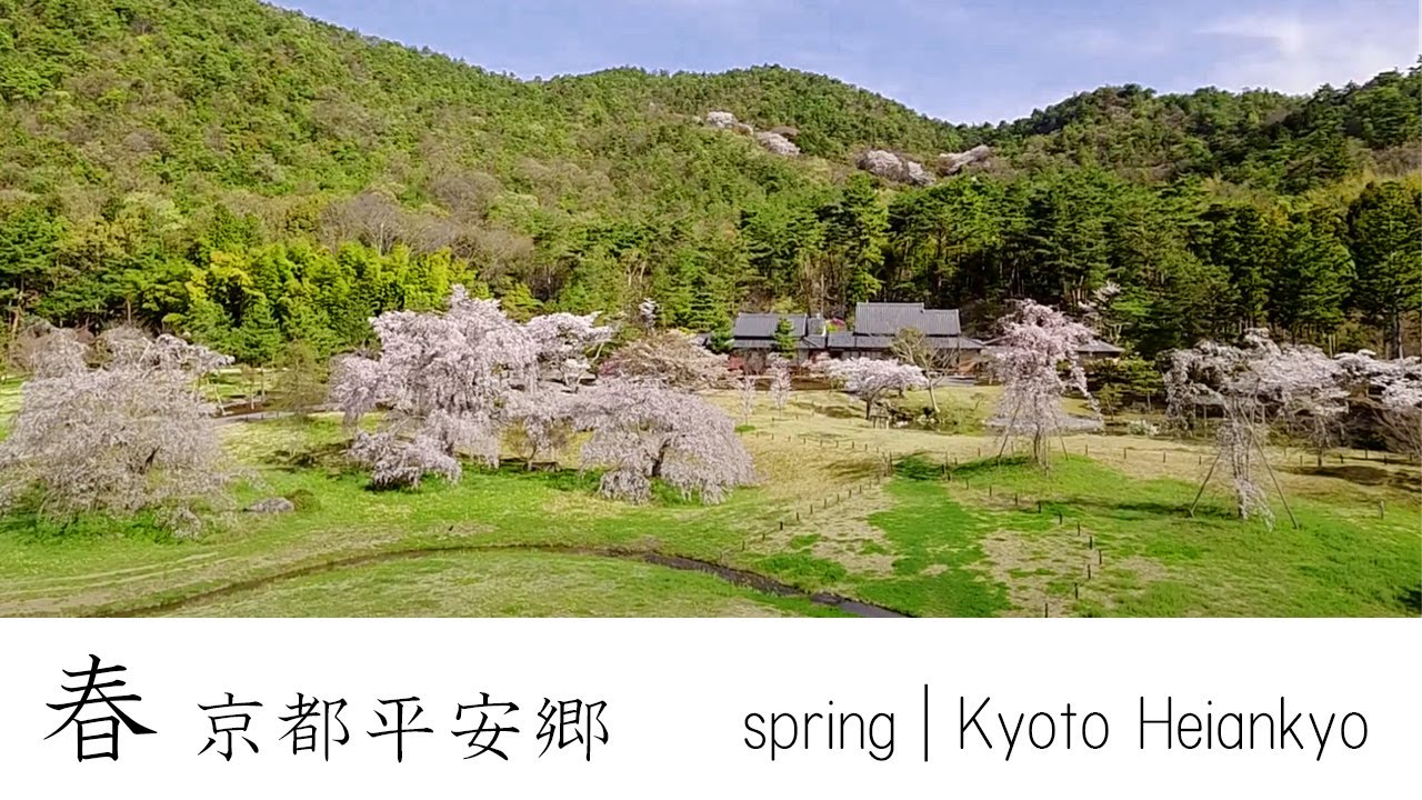 春 京都平安郷　spring | Kyoto Heiankyo