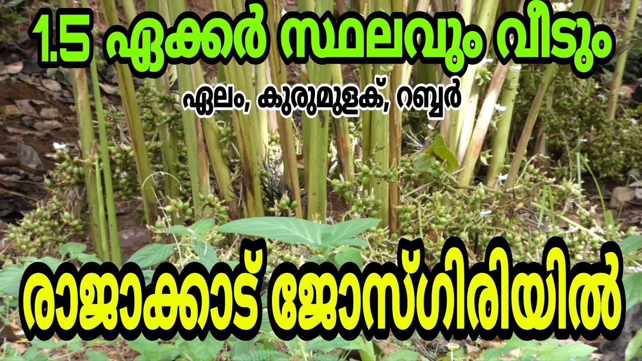 1.5 Acres of land (Cardomum ) and a house for sale at Josegiri, Rajakkad, Idukki.