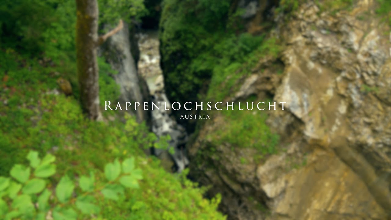 The Power of Nature: Rappenlochschlucht Waterfalls and Wooden Trails in Austria Voralberg