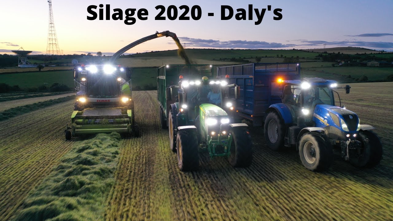 Silage 2020 - Daly's