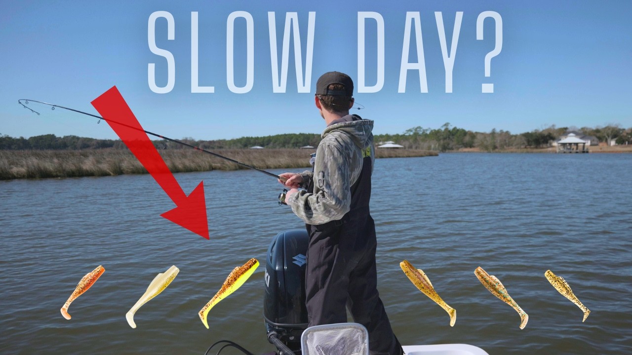 The BEST Lure for Inshore Fishing on a slow day! Saltwater Fishing along the Gulf Coast