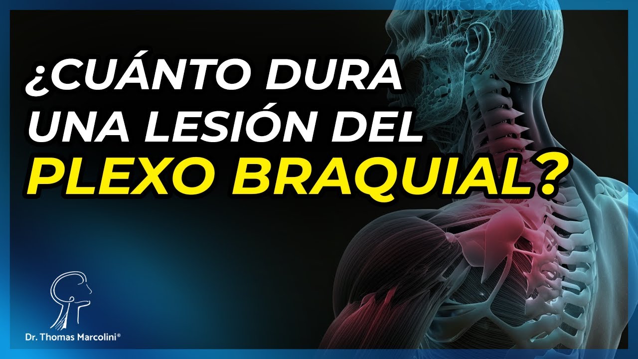 ¿Cuánto tarda en sanar el plexo braquial?