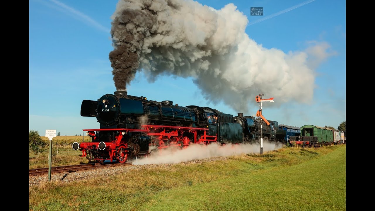 Terug Naar Toen 2025