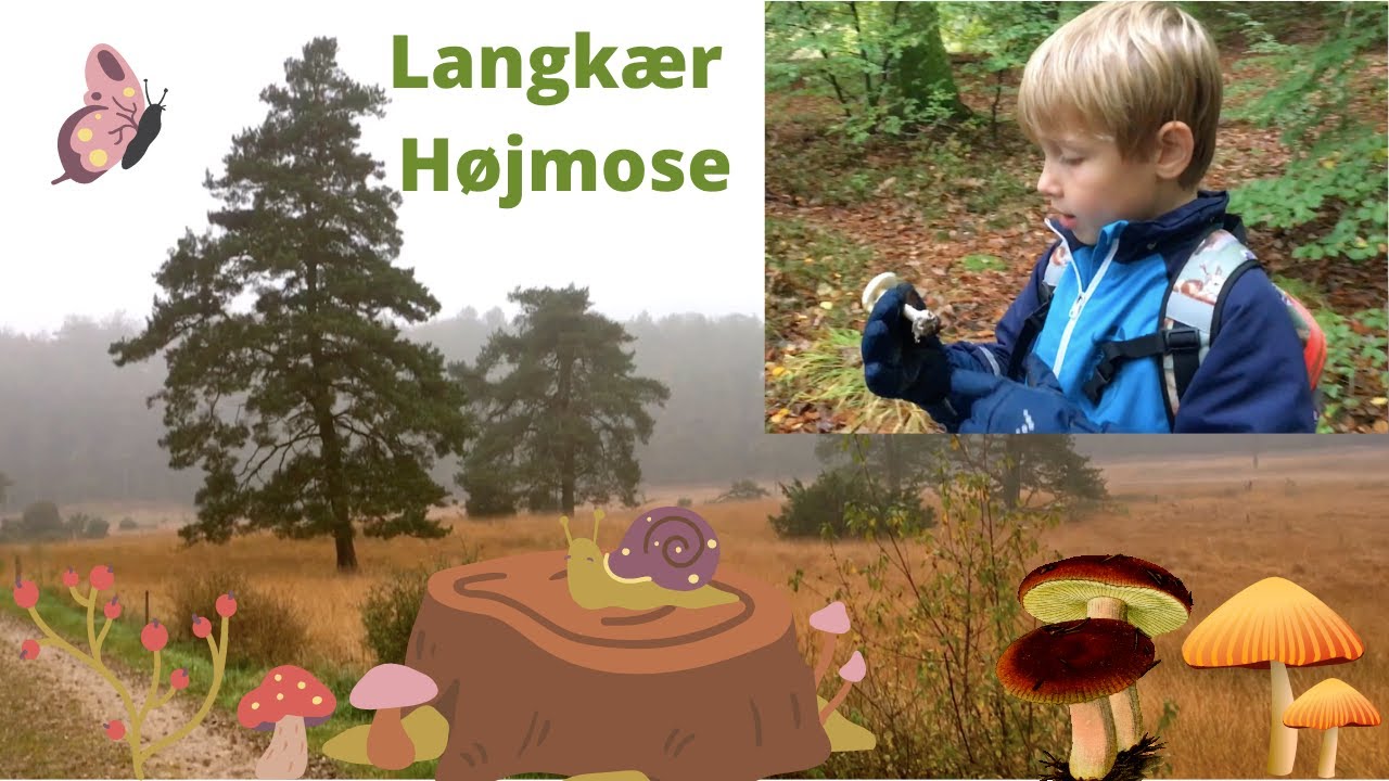 Bio-nørd 2. Tur til Langkær Højmose (det går ikke helt som forventet...)