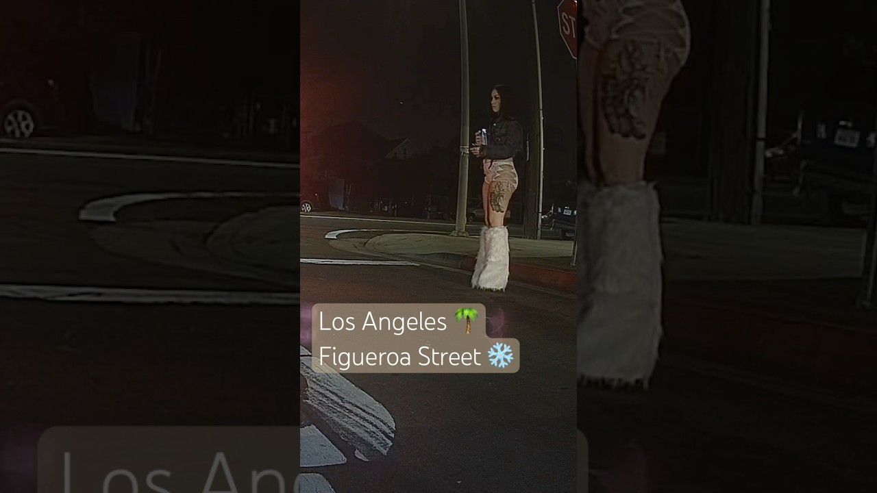 🌃❄️Late night vibes Figueroa  never sleeps #figueroastreet #losangelesnightlife #viralvideo