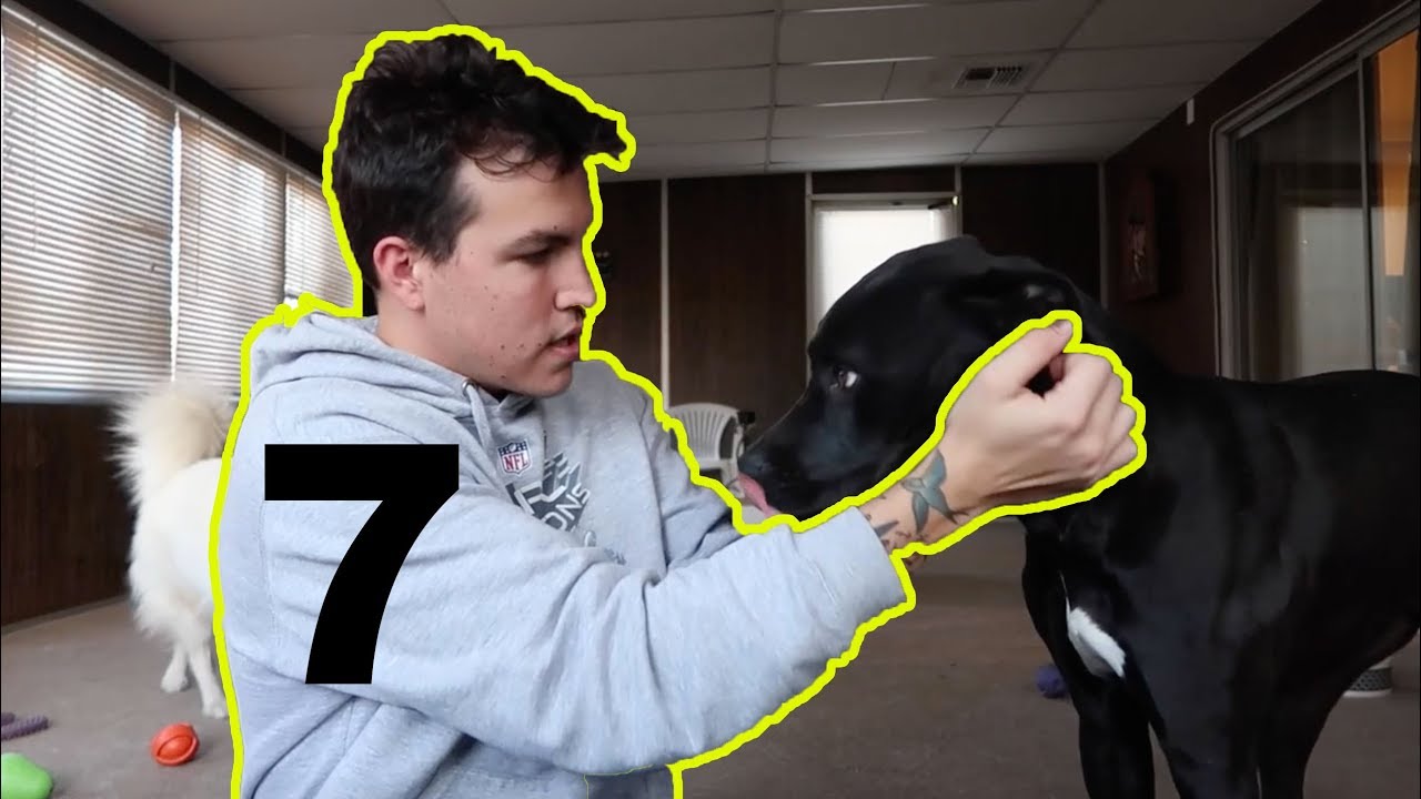 7 very annoying things about Navy Life