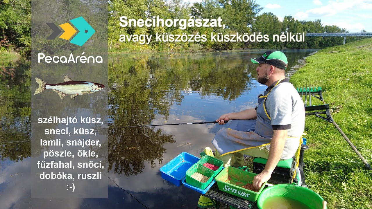 Snecihorgászat, avagy küszözés küszködés nélkül